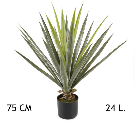 YUKKA ZÖLD 24LEVÉL 75CM