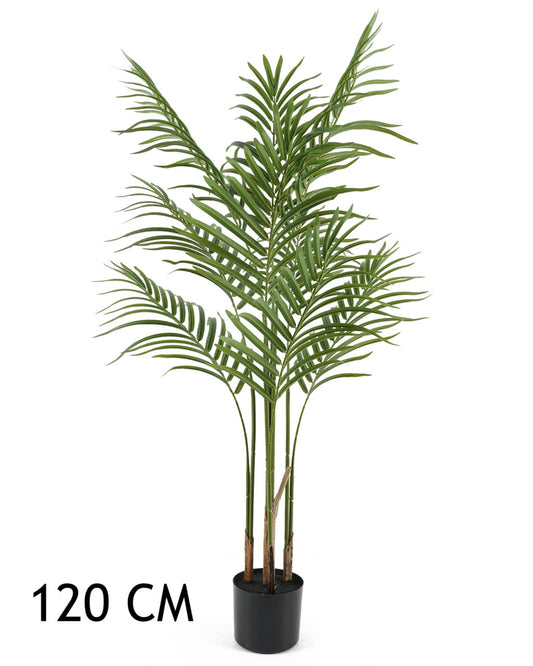 ARANYPÁLMA 4TÖRZS 120CM