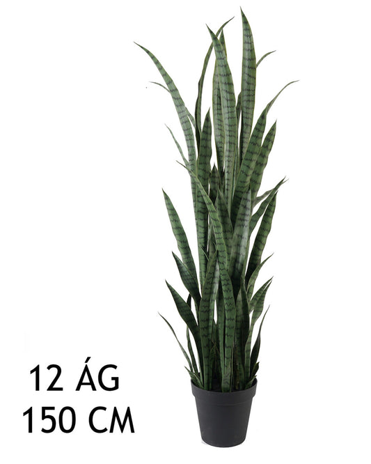 ANYÓSNYELV ZÖLD 12ÁG 150