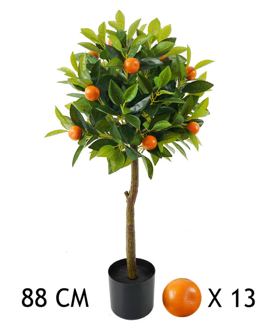 NARANCSFA 13GYÜMÖLCS 88CM