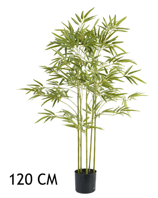 BAMBUSZFA 5ÁG 120CM