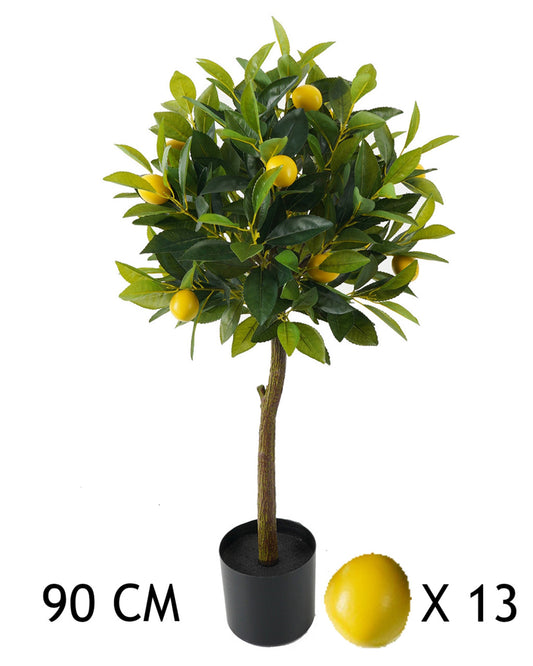 CITROMFA 13GYÜMÖLCS 90CM