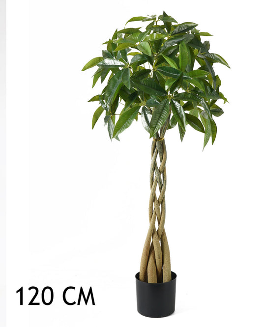 VADKAKAÓ 4TÖRZS ZÖLD 120CM