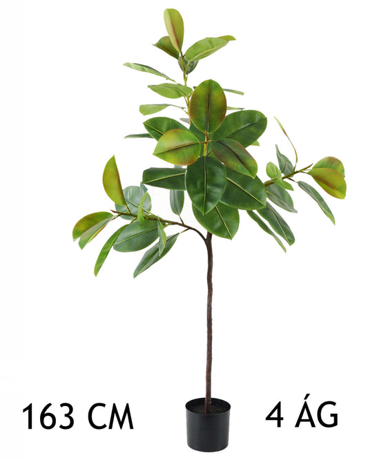 FIKUSZFA 4ÁG ZÖLD 163CM
