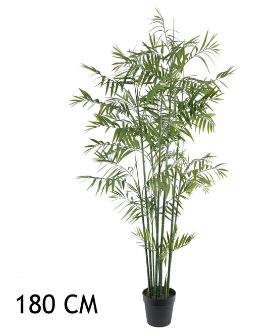 BAMBUSZPÁLMA ZÖLD 180CM