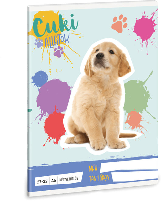 Cuki állatok tűzött füzet A/5, 32 lap kockás, kutya, golden retriever, 2025
