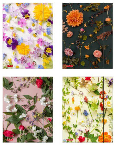 Herlitz gumis mappa A/5, Flower, többféle