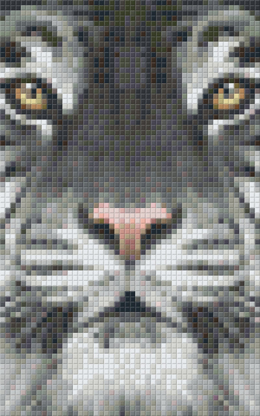 Pixel szett 2 normál alaplappal, színekkel, tigris (802107)