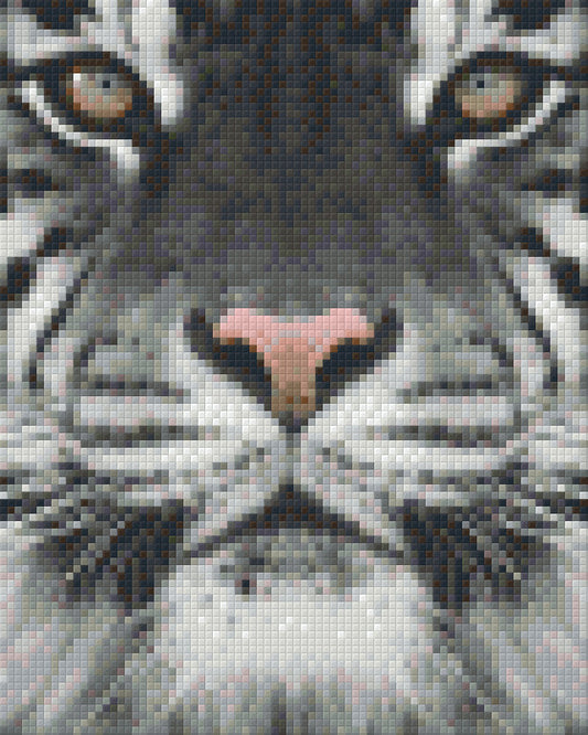 Pixel szett 4 normál alaplappal, színekkel, tigris (804130)