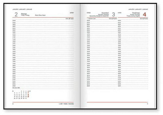 Vectraline határidőnapló A/5, napi tervező, 2026, Geometria