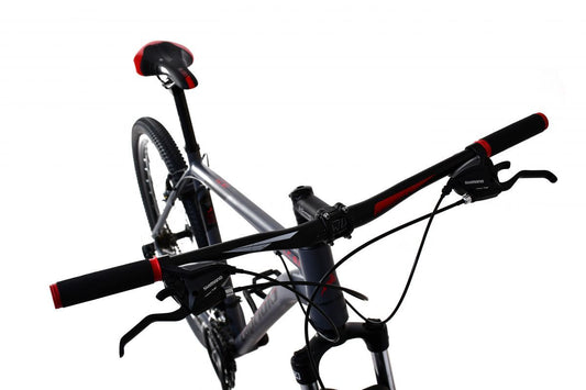 Hegyi kerékpár Capriolo LC 9.1 MTB 29„/21” szürke - piros 2024