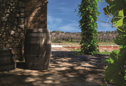 Hordó Prosperplast BOTAQUA barna 250 l