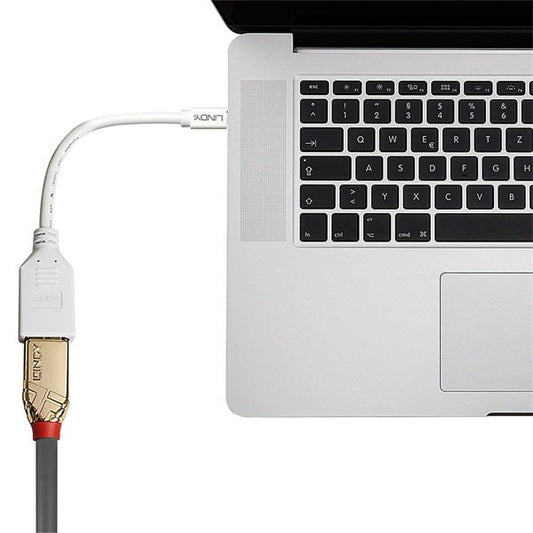 LINDY Adapter Mini DisplayPort - DisplayPort, Mini DP - DP, Minden felbontást támogat, M/F, kábeles, fehér