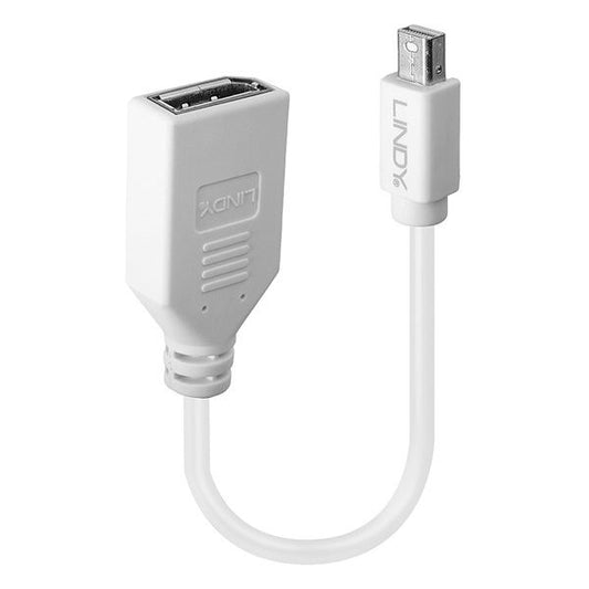 LINDY Adapter Mini DisplayPort - DisplayPort, Mini DP - DP, Minden felbontást támogat, M/F, kábeles, fehér